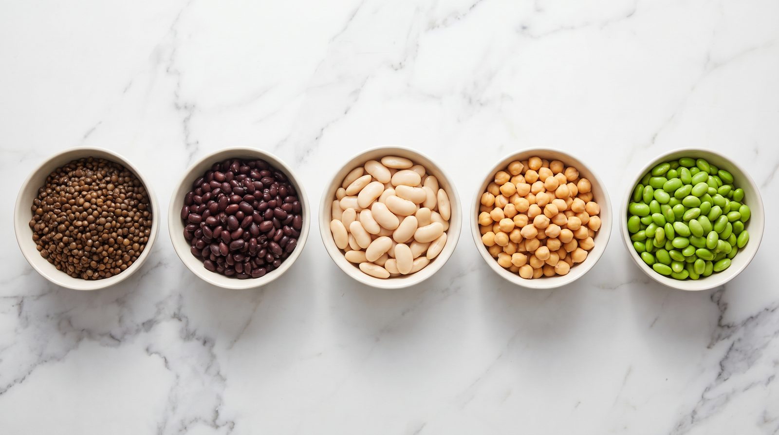 Bowls of cooked lentils, black beans, white beans, chickpeas and edamame arranged on a marble surface