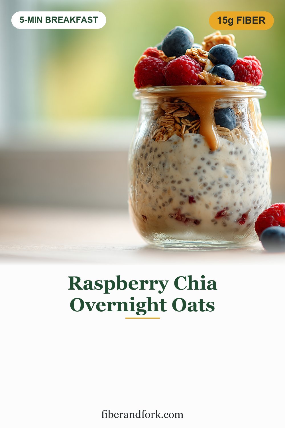 Raspberry Chia Overnight Oats (15g Fiber)